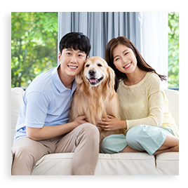 프리미엄 반려동물 서비스